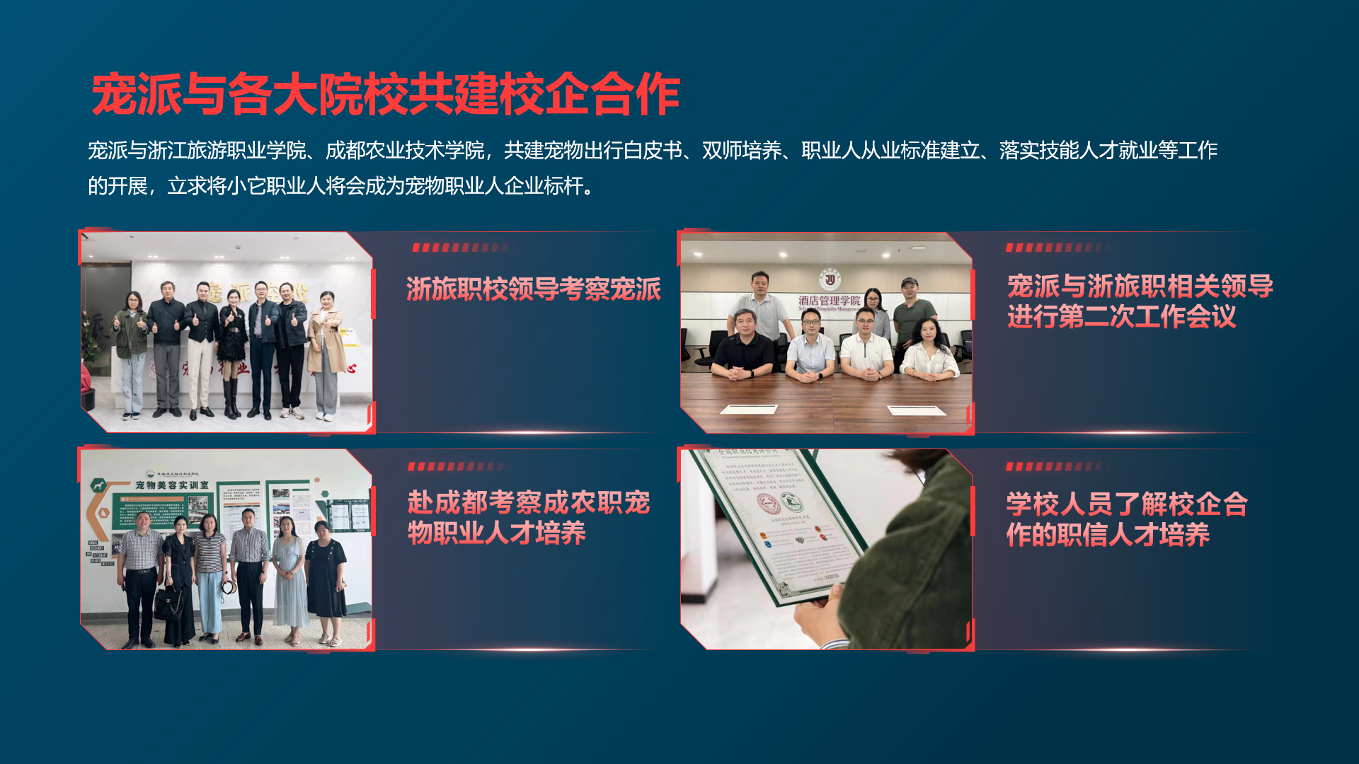 小它职业人